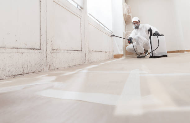 24/7 Emergency Black Mold Remediation experts in Howell, MI