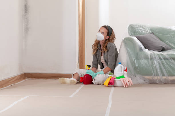 Reliable Black Mold Remediation contractor in Howell, MI by Car Mold Remediation